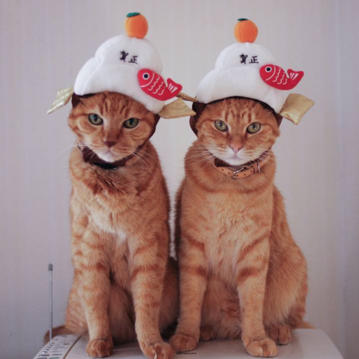 Df851601 a735 498d 9696 b72c6de109aa 1735719919557