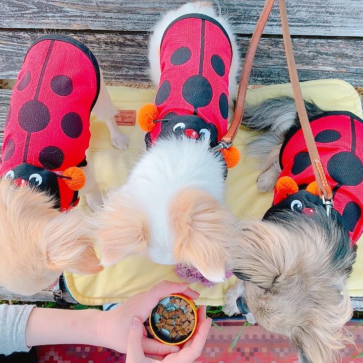 Df851f5a 8e8a 4231 9699 06ad9cf03a4b 1620797193613