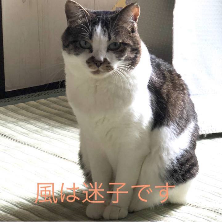 Df852d1f 2164 4847 8de4 bc85c48be1cb 1539651755507