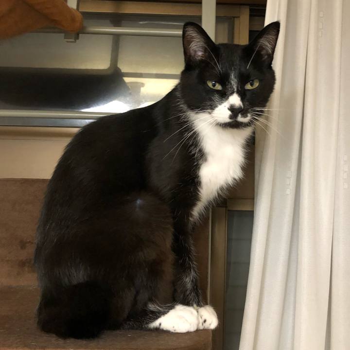 Df853d53 a722 4a8f a0fa 8e83fb78d375 1595993181477