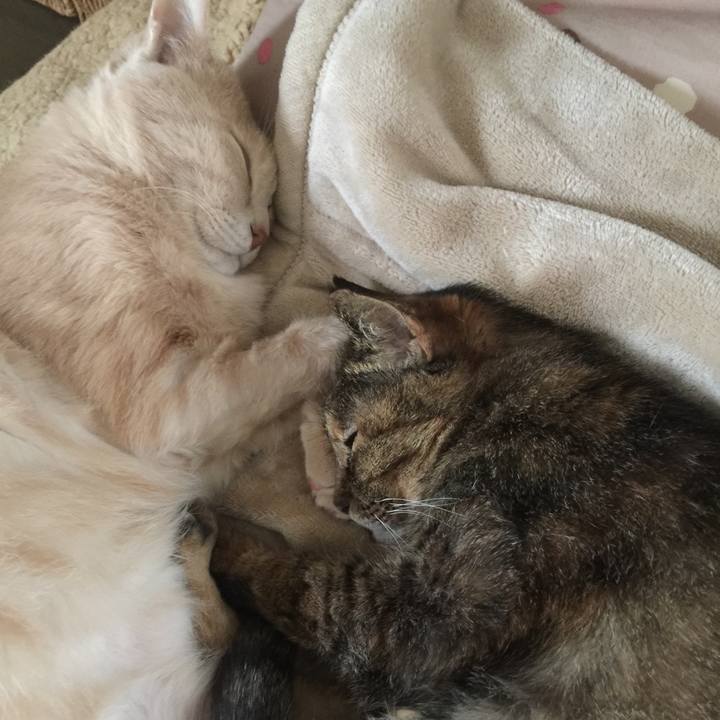 Df855031 6536 4a4a ba66 9bc029a5245d 1622591246394