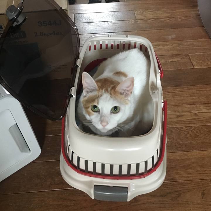 Df860d4a 34a9 48f0 a127 0f29e126c3a4 1535177088718