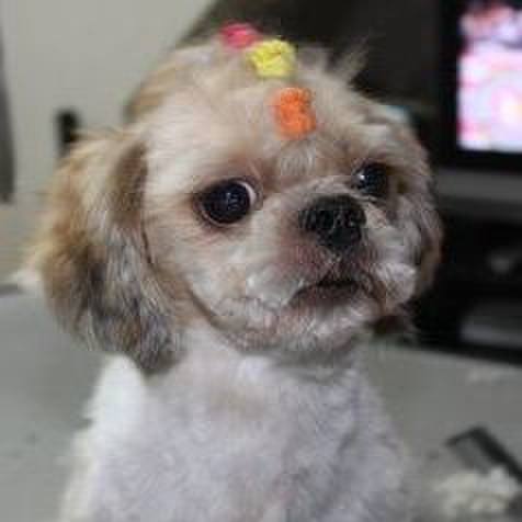 Df8615a4 1c85 4134 93d7 730f1e511750 1528557011702