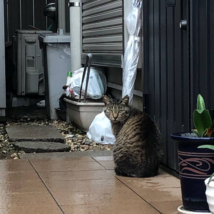 Df861a9e 8328 403a ba82 29cd66f8f587 1595254186594