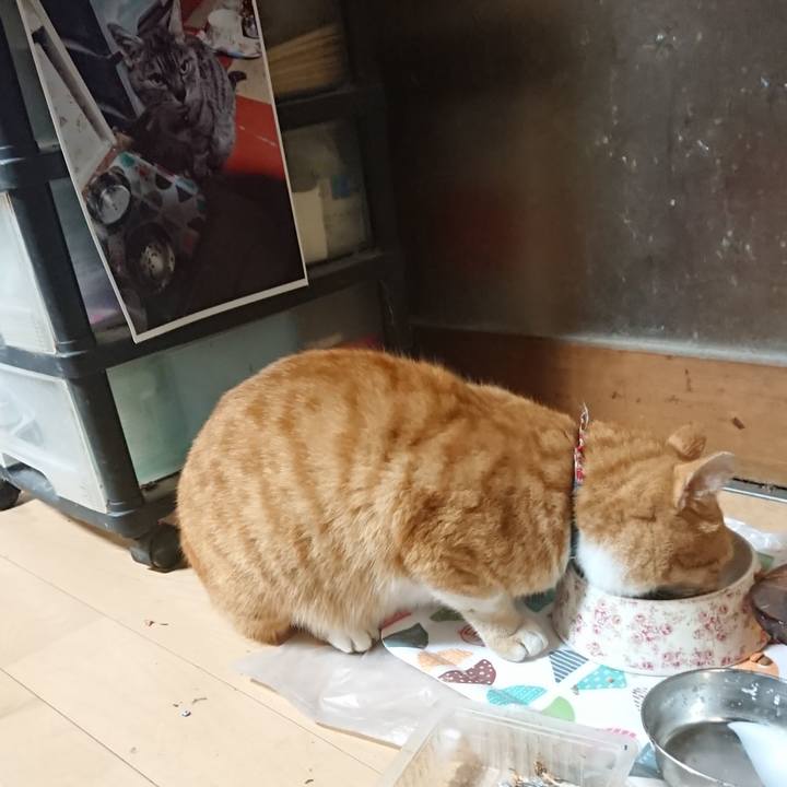 Df8629cb cfdf 4ed3 9437 a1d3241d2dad 1605866137100