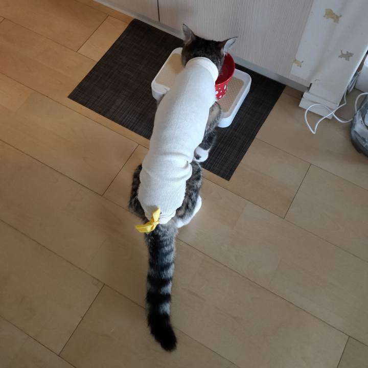 Df864f8d 4ec9 471c 9ed5 fdd62b74aaa4 1634174255058