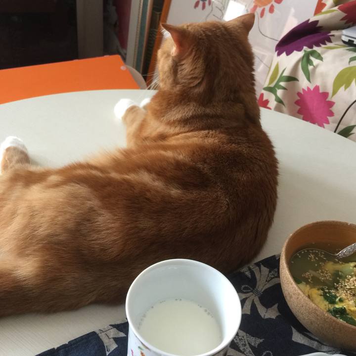 Df8651b6 db1a 4499 a56a b372f9643778 1557023170544