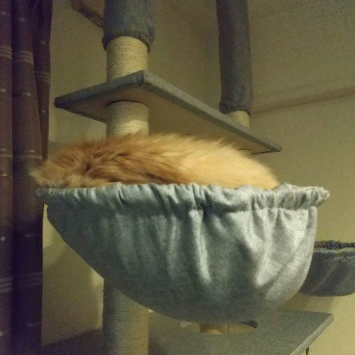 Df865ec5 6562 43bb a647 538181d710da 1648814280312