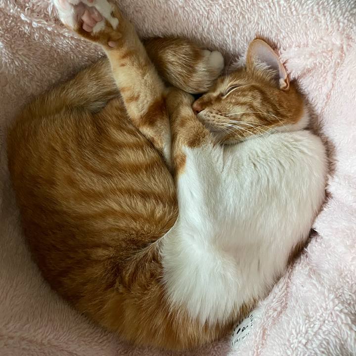 Df868292 3d61 4a2d b38f ad3e9ea419a4 1594278458403