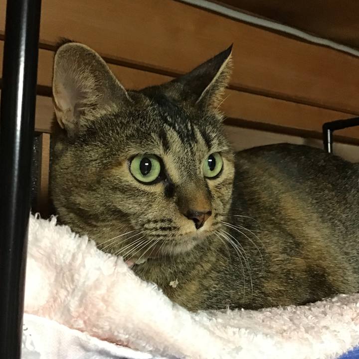 Df86b14f ec1b 4449 8b31 503291179797 1696681687793