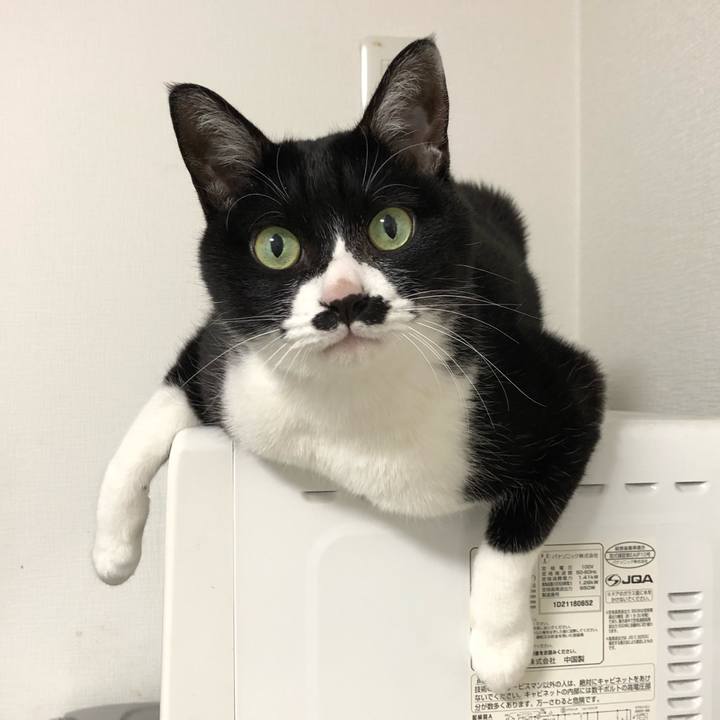 Df86b152 37a8 4616 90e1 9b45af780759 1543333564129