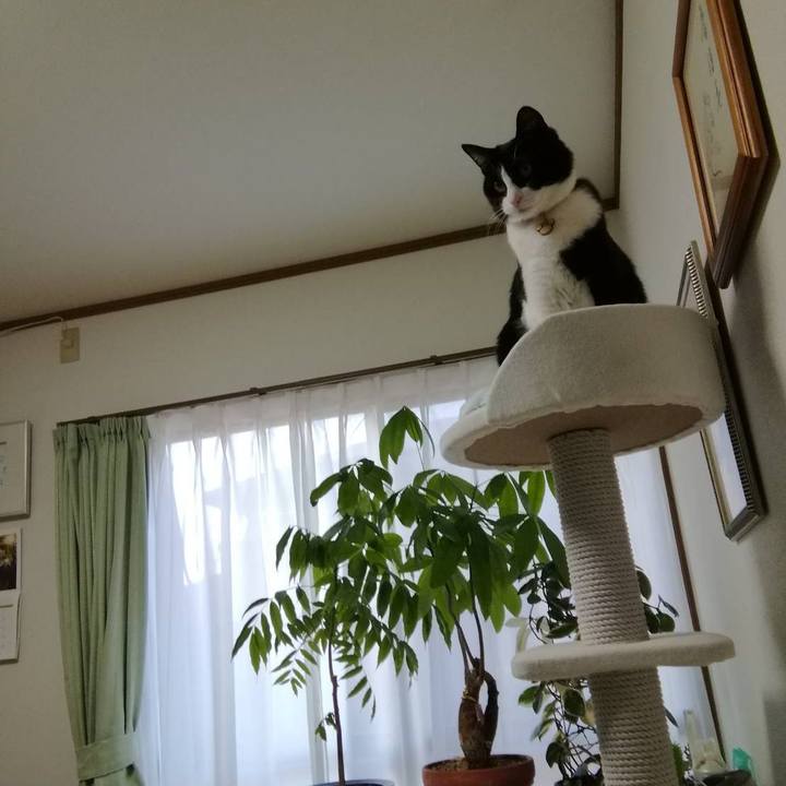 Df86bcb8 48a0 4eaa 94f3 56b164091162 1554199746515