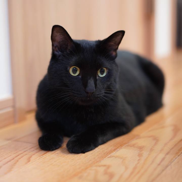 Df86c412 d345 4b4e 999c 6d044a03bd41 1627480191564