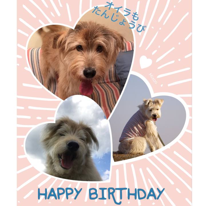 Df86e940 1b29 4e03 939c 66ed00b1b04f 1587525365507