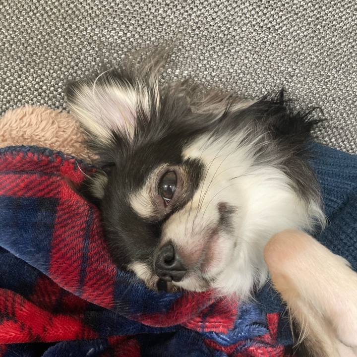 Df86f18f c981 4dc0 b8a9 d9f0bd000686 1605963298274