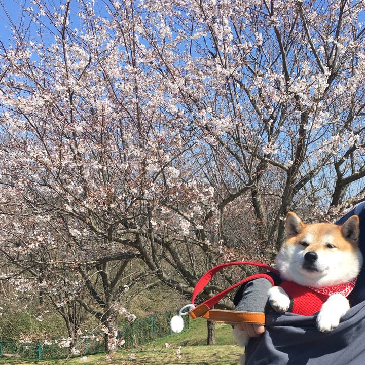 Df874560 f620 48bd bf99 5fd34707077c 1585127483141