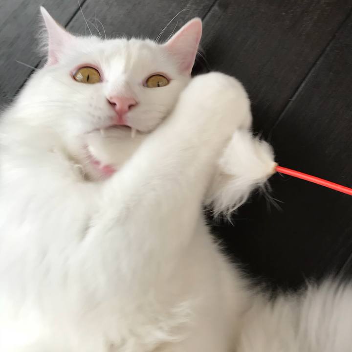 Df875bac 1bec 4aa2 8010 fd41c3e79363 1522815227118