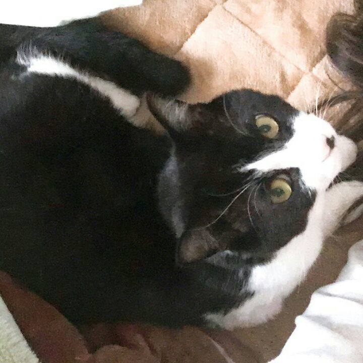 Df8775b6 9cc8 46d7 8903 9235e1f910ca 1508631625612