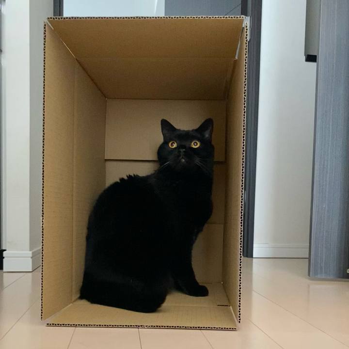 Df8789d4 79e2 4755 891c 7180b6858747 1775015568660