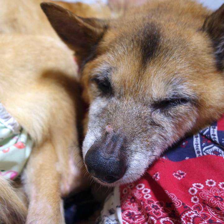 Df87e013 12cb 4950 97b2 1c109197bc35 1566558081019