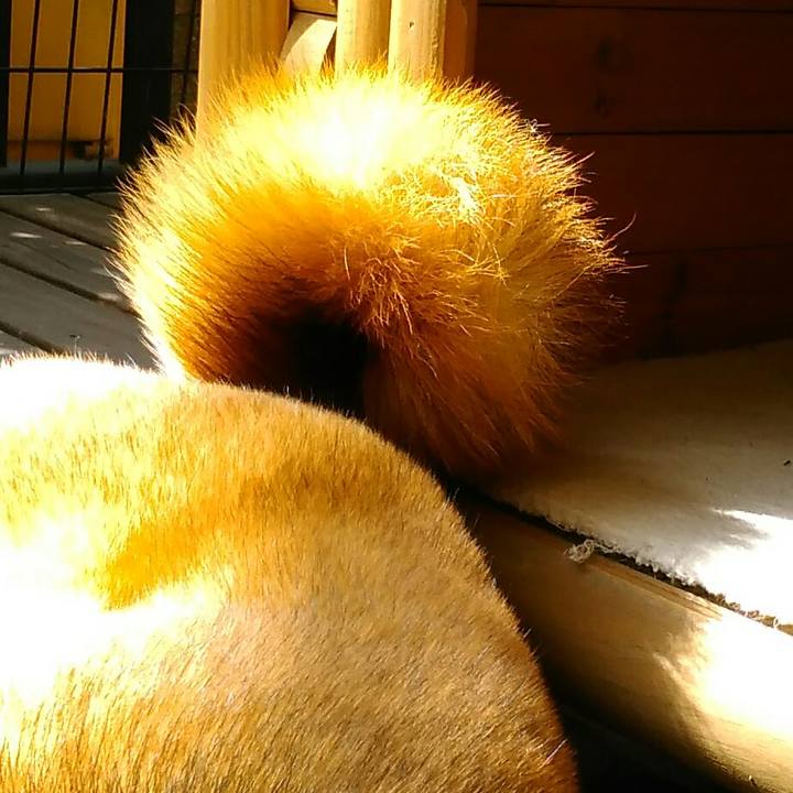 Df881d5a b2a0 48ba 8b76 57b511538afb 1553218636898