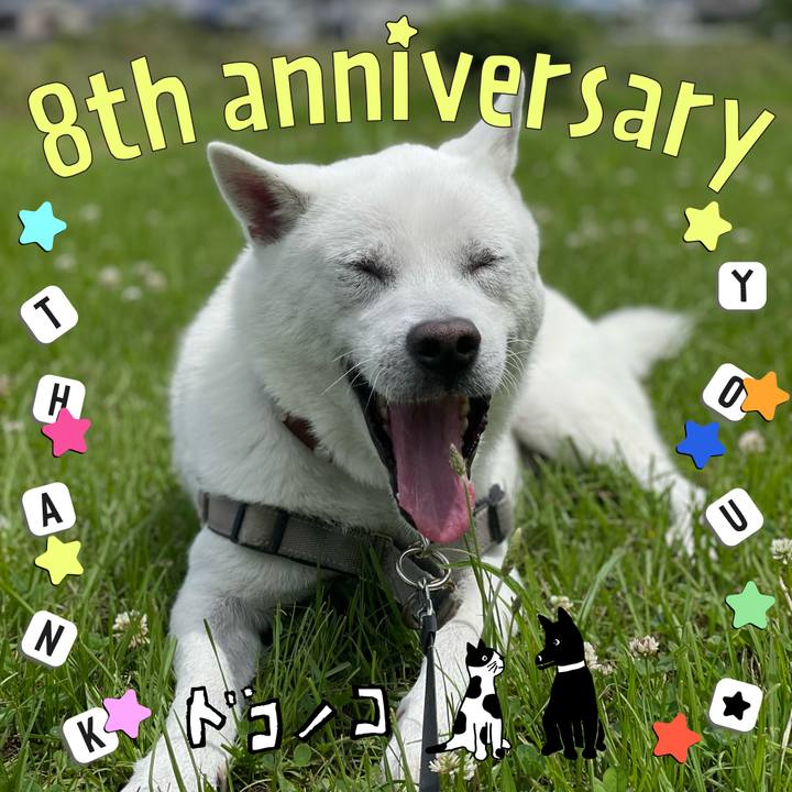 Df8845db a11a 4146 b1fa ea81766d04e7 1717583003257