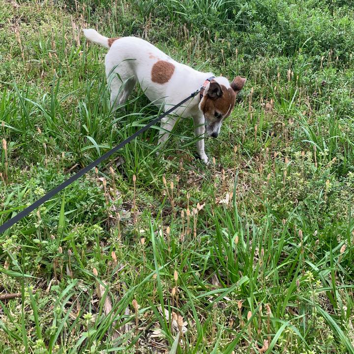 Df885542 8c04 452d b044 712568ed410d 1553906224846