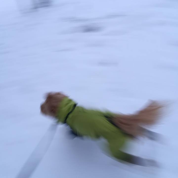 Df88600c 3fa1 4a2d 85b9 1353355d7385 1543550425616