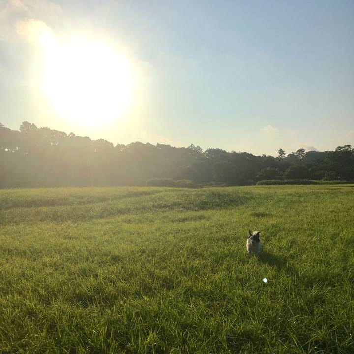 Df888947 1739 4f07 968c b3664daac2d1 1530444395385