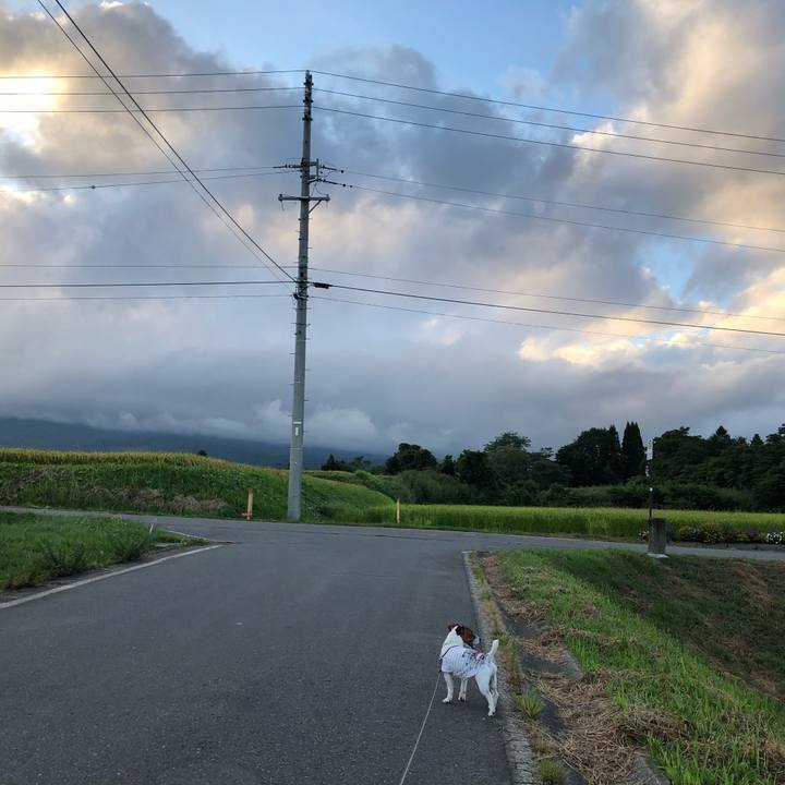 Df88c71d 6589 4363 b9a1 d06581ad78aa 1568024552850