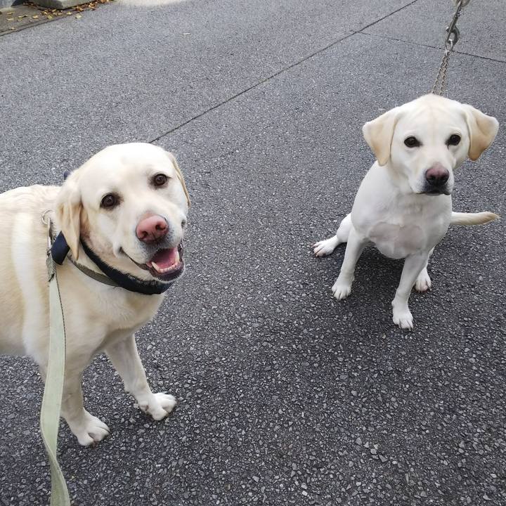 Df88df30 3a9e 4b4b bed7 d25f26e0312e 1575865792650