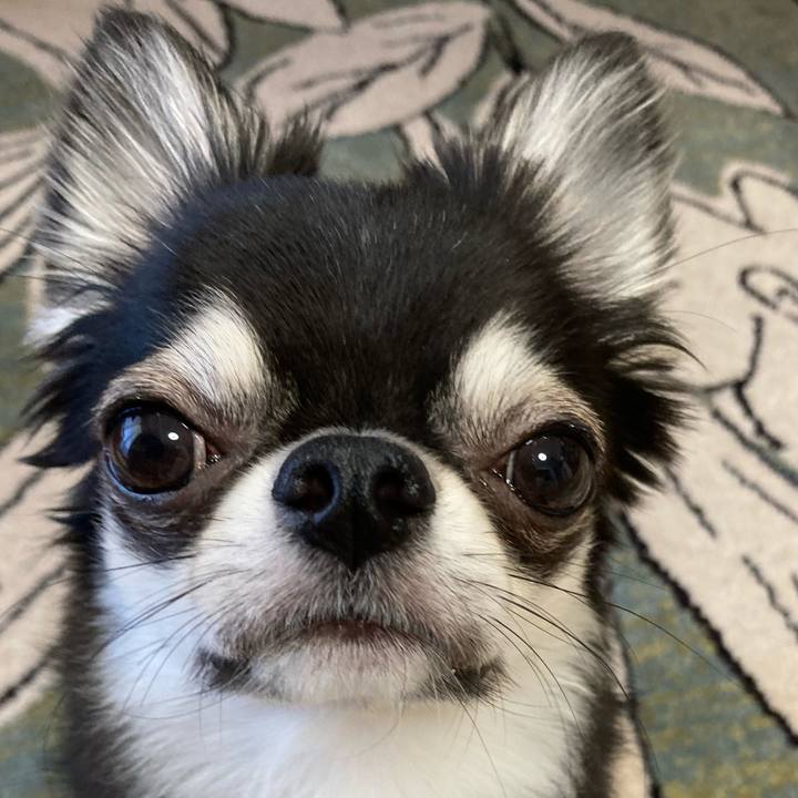 Df88e91e 2c17 470f 877d 542e89ed4941 1627165213550