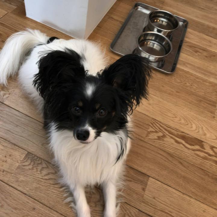 Df890ff5 c9a3 4702 b834 85f566817ebf 1513049908351