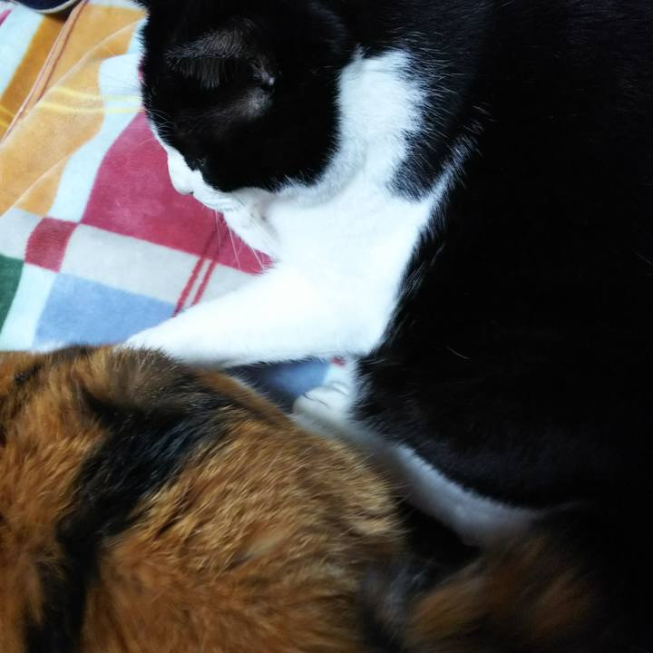 Df8938e6 c2bb 4b07 ac40 62e72a849f96 1542803221142