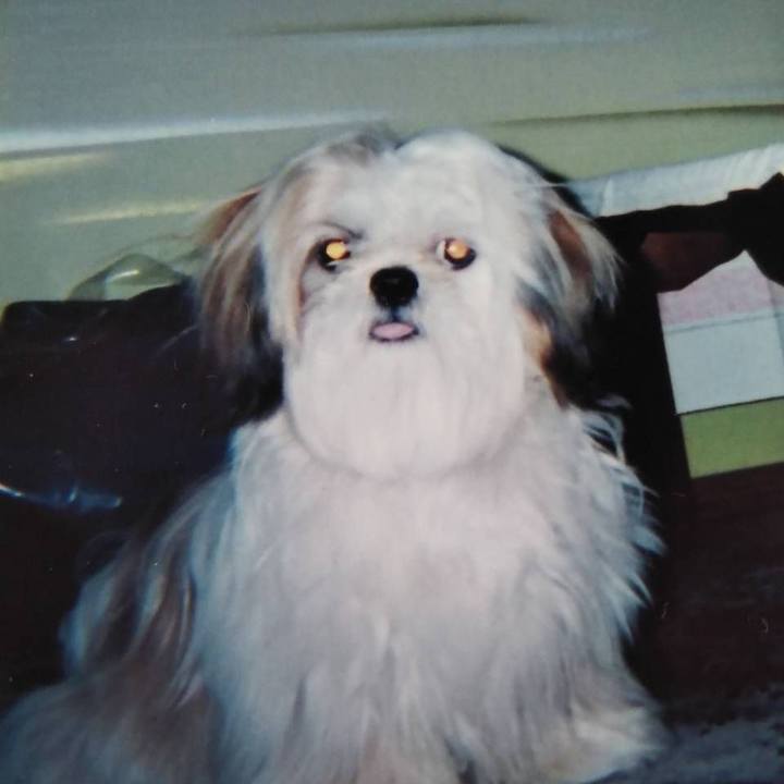 Df89411d 17b4 4439 88bc 2f0f5620c2ea 1612923532773