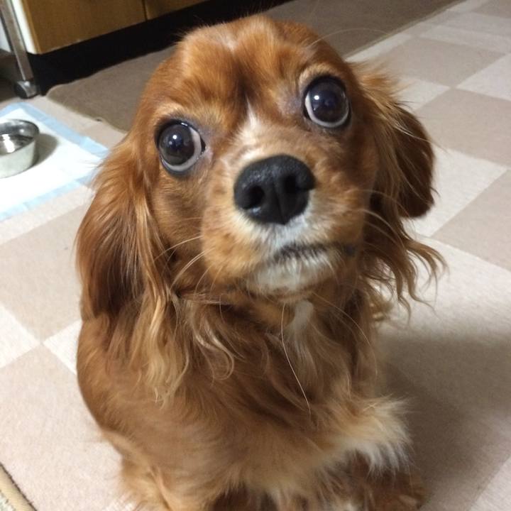 Df8954df 9929 40f7 8b3a 57de2e04e7d3 1516832024257