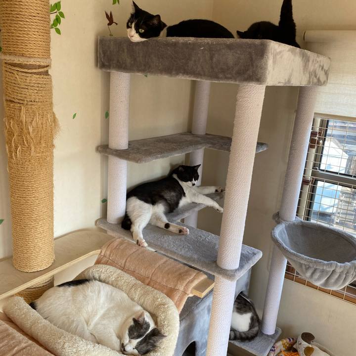 Df896ef9 6c2c 4c1c 949d 086f603b92f8 1605654939253