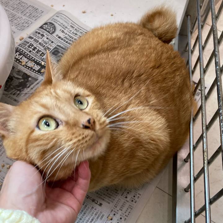 Df89834b beda 4357 977e a1c4b7ad439b 1628066895425