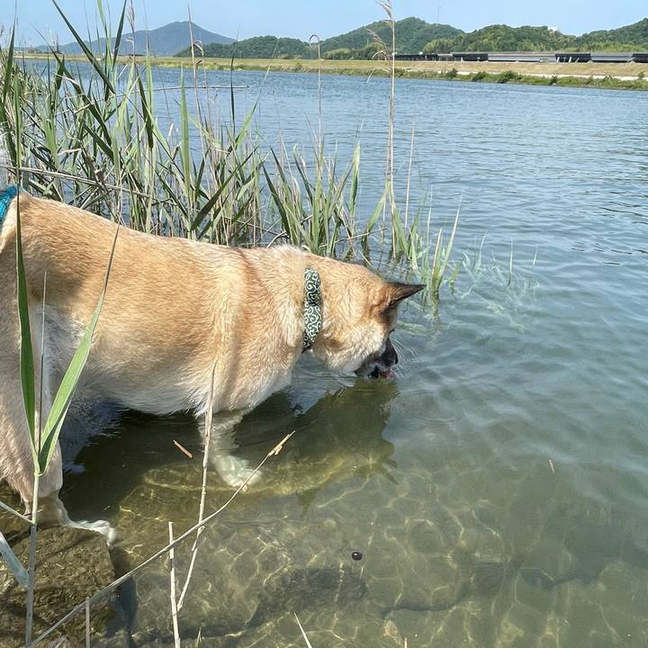 Df898591 3fbb 4b37 b7d2 a2321b3d63cd 1684670112523