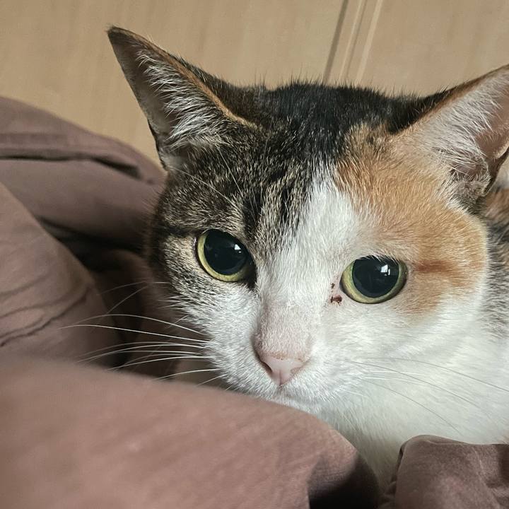 Df89ab78 3bfb 48ba 97c1 544a122bde58 1652213585655