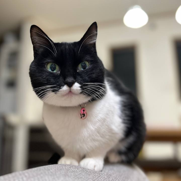 Df89e962 baf3 4687 8585 b994339b9897 1738021202777