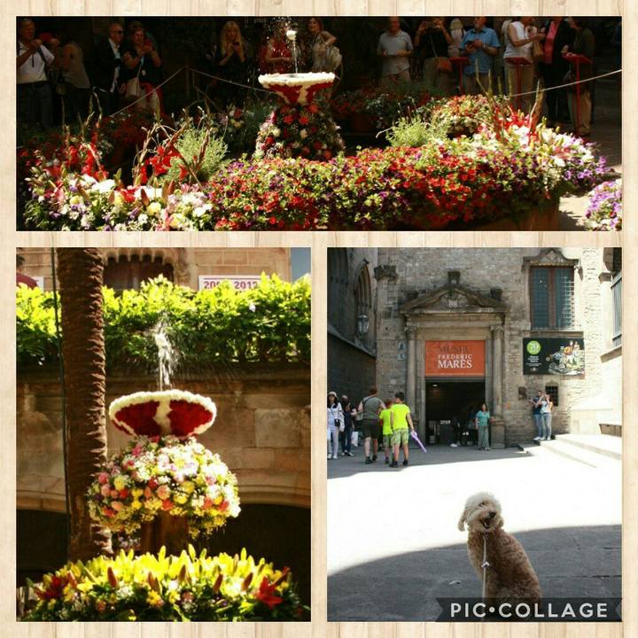 Df89ed1f 6090 4a75 8ce4 7150fcb58991 1561064768632