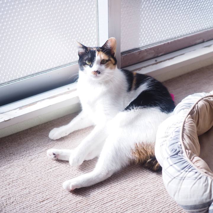 Df8a195a 9964 4882 9075 1ab30394f685 1515541668159