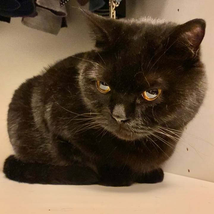 Df8a6d08 0f70 4d97 9567 efaf14371436 1655298070441