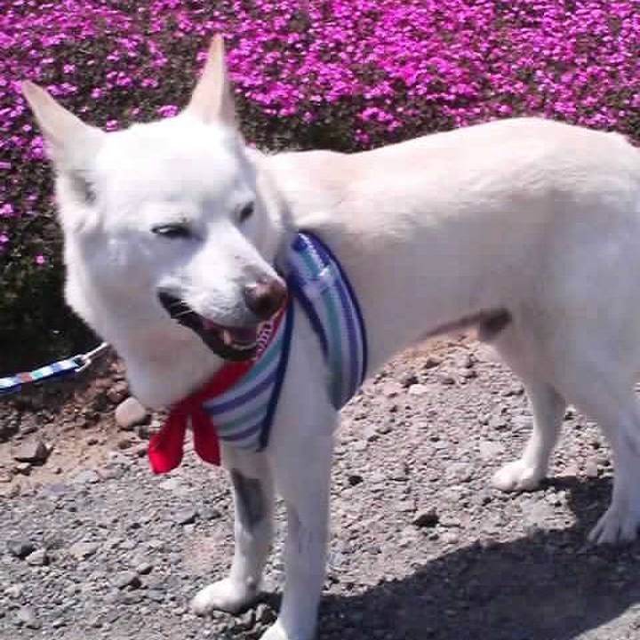 Df8a77be 58ad 46fd b9d5 92fe4e62794f 1521633284321