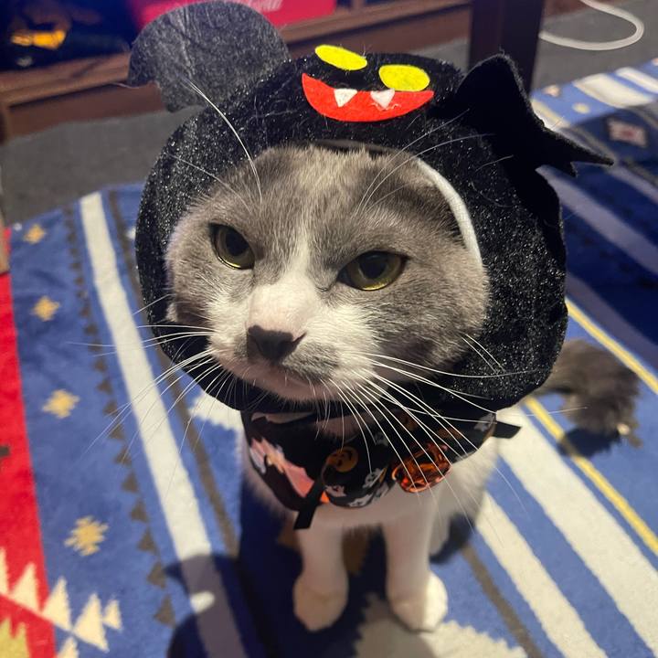 Df8a7e09 a6ee 4cf0 b80b bd66346d87c6 1667208649347