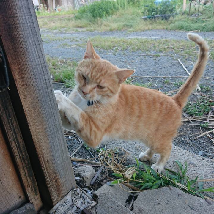 Df8a8c25 a366 4d12 be74 7e0efa1867ae 1559126266495