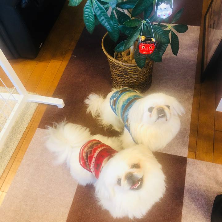 Df8ab0cd 6a0c 4b95 9c6b fa8724fd84cf 1612261599574