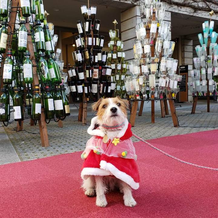 Df8ad6f3 b673 45c7 a9bb 2f2f0e04130e 1607422669917