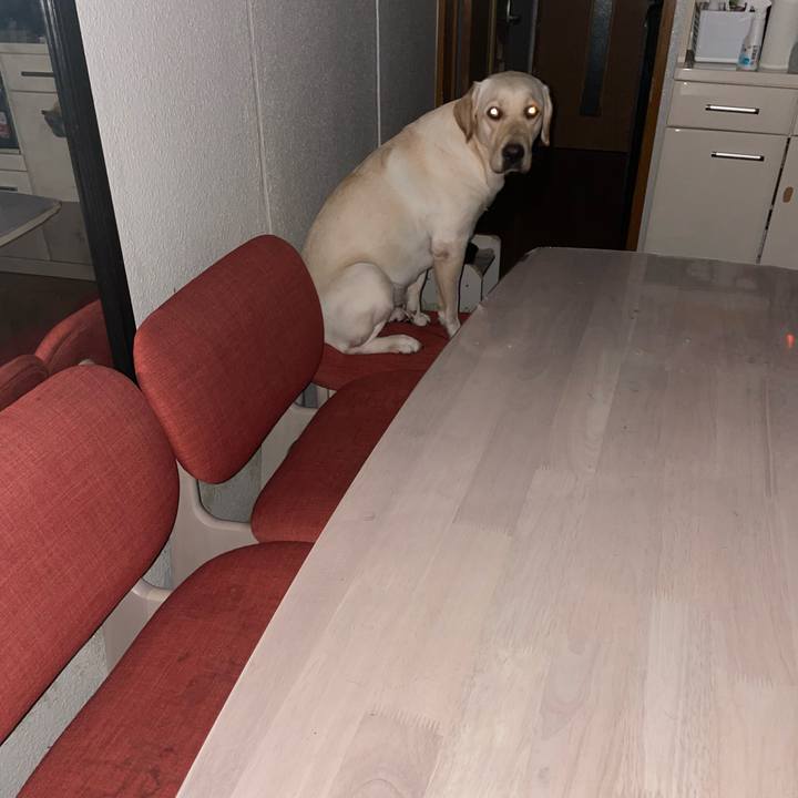 Df8b171f bbbe 4e23 b568 99a0f1e7b1d8 1661446103494